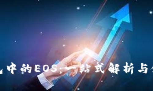 : TP钱包中的EOS：一站式解析与使用指南