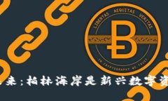 加密货币的未来：柏林海岸是新兴数字资产的中